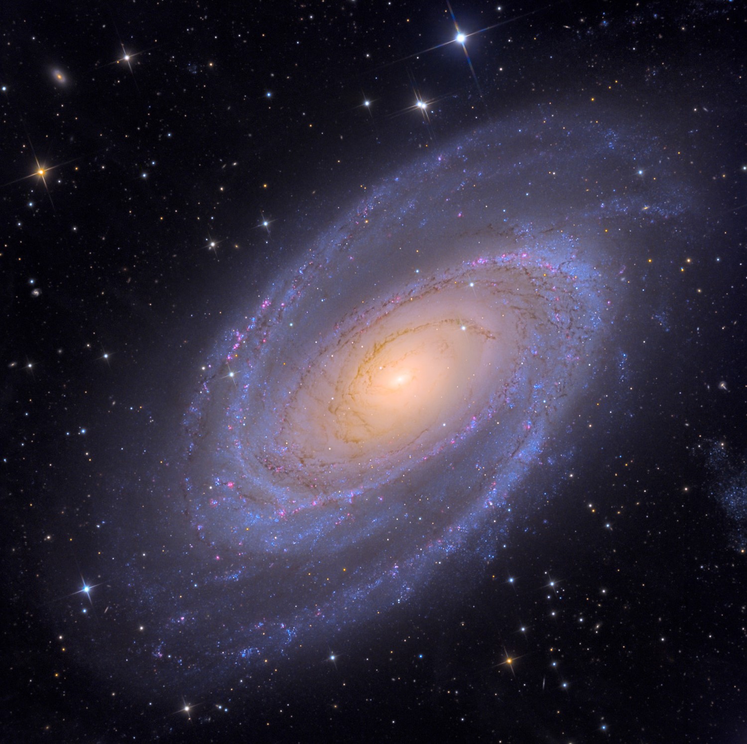 The galaxy M81 (download from the NASA extragalactic database)